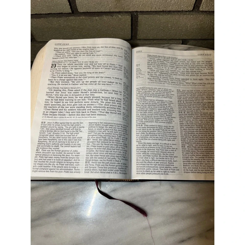 Zondervan Life Application Bible NIV Large Print Burgundy Bonded Leather